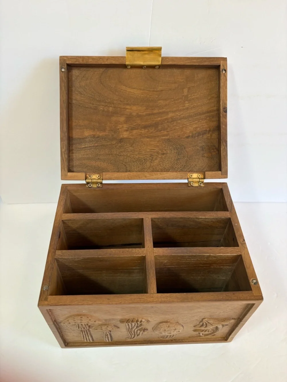 NWT Anthropologie Terrain Mushroom Seed Storage Box
